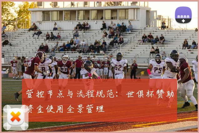 管控节点与流程规范：世俱杯赞助资金使用全景管理