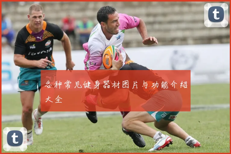 各种常见健身器材图片与功能介绍大全