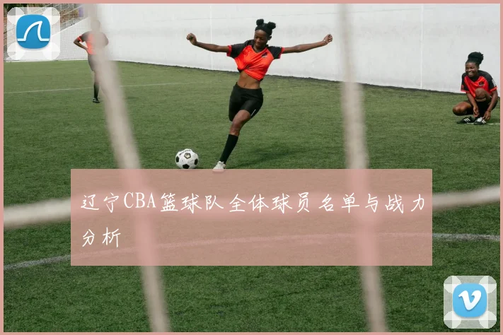 辽宁CBA篮球队全体球员名单与战力分析