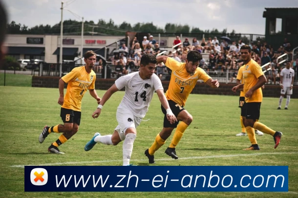 安博体育平台生态图